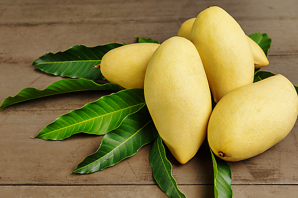 포토 JPG 해외이미지 아시아 음식 백그라운드 다이어트 과일 자연 탁자 추상 디저트 건강 사람없음 목재 여름 노란색 기쁨 신선 그룹 달콤 맛 유기농 질감 5 망고 스위치 내추럴 숙성 카피스페이스 해외포토 나무 웰빙 계절 감정 나라 컬러 가구 컨셉 무늬 재료 숫자 공백 열대과일 생태계 파일형식 이미지허브