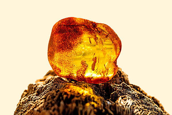 포토 JPG 해외이미지 자연 사람없음 빛 주황색 투명 보석 화석 앰버 해외포토 컬러 광석 생태계 파일형식 이미지허브