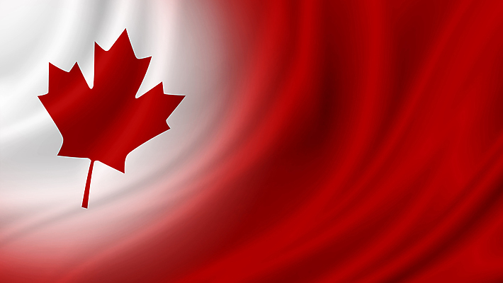 포토 JPG 해외이미지 템플릿 1 해외 디자인 배너 교육 파도 여행 백그라운드 컨셉 단풍 잎 캐나다 일러스트 모션 벽지 바람 아이디어 미술 사람없음 그래픽 빨간색 빛 스터디 자유 흰색 축하 깃발 신용카드 실크 심볼 사인 질감 애국심 7월 독립 전국 카피스페이스 해외일러스트 자연요소 식물 바다 컬러 북아메리카 날씨 문화예술 금융 학습 공백 직물 날짜 파일형식 이미지허브