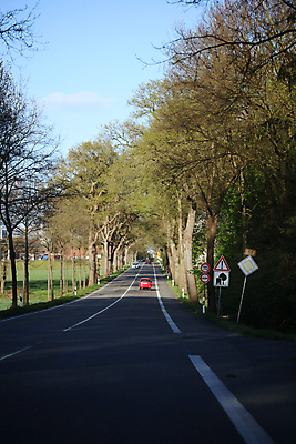 포토 JPG 해외이미지 구름 라이프스타일 응시 남자 행복 도로 스포츠 여행 포즈 비즈니스 창문 교통시설 모션 자동차 자연 하늘 실내 관리 안전 사람 앉기 성인 사람없음 야외 선글라스 태양 일출 일몰 운전 자유 판넬 바퀴 고속도로 운전사 땅 속도 추적 자동 해외포토 자연요소 직업 시선 감정 안경 길 육상교통 교통 컨셉 내부 생활 노을 시설 생태계 파일형식 이미지허브