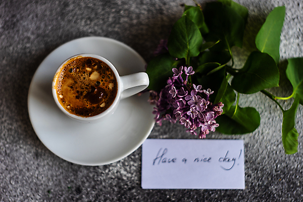 포토 JPG 해외이미지 식물 꽃 커피 음료 음식 백그라운드 컨셉 꽃무늬 아침 사람없음 컵 세트 쪽지 봄 회색 머그컵 나뭇가지 맛 아메리카노 에스프레소 라일락 설정 구성 콘크리트 파스텔톤 해외포토 주간 나무 식기 계절 컬러 무늬 파일형식 이미지허브