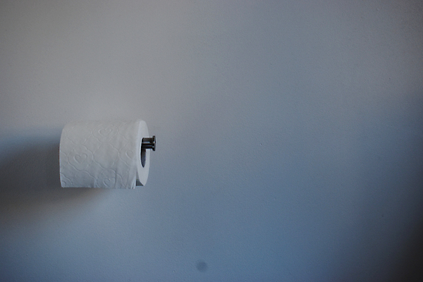 포토 JPG 해외이미지 종이 벽 주택 사람없음 위생용품 목욕 방 욕실 장롱 조직 바이러스 위생 구매 화장실 공포 롤 변기 닦기 일반 변기통 보유 위생관리 해외포토 가구 생활용품 모션 관리 건물 쇼핑 청결 파일형식 이미지허브