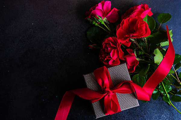 포토 JPG 해외이미지 리본 꽃다발 검은배경 사람없음 선물상자 장미 카피스페이스 해외포토 꽃 백그라운드 선물 상자 검은색 공백 파일형식 이미지허브