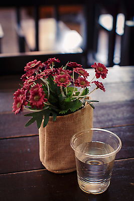 포토 JPG 해외이미지 식물 디자인 꽃 꽃다발 백그라운드 자연 유리 탁자 주택 미술 사람없음 목재 장식 초록색 컬러풀 꽃병 수확 시골집 복고 보케 옛날 해외포토 나무 컬러 가구 농업 재료 재질 문화예술 건물 생태계 파일형식 이미지허브