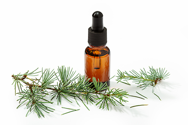 포토 JPG 해외이미지 식물 잎 유리 휴식 건강 사람없음 치료 스파 화장품 약재 나뭇가지 신선 마사지 소나무 약초 허브 흰배경 아로마 향 스킨케어 아로마테라피 전나무 테라피 내추럴 고립 정물화 추출 피펫 해외포토 나무 백그라운드 컨셉 의학 재질 실험기구 뷰티 약 흰색 풀_식물 그림 파일형식 이미지허브