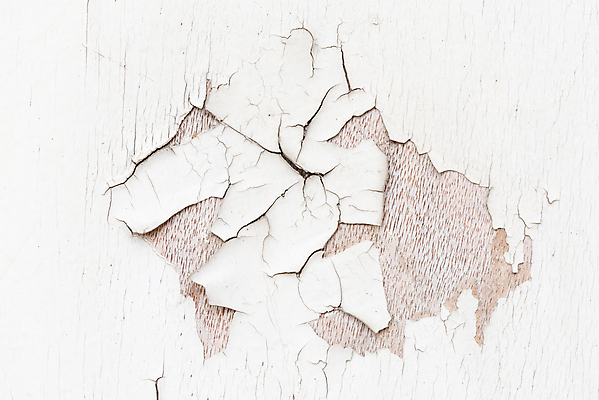 포토 JPG 해외이미지 디자인 벽 조각 백그라운드 패턴 건축양식 표면 날씨 추상 사람없음 건물 목재 문 페인트 손상 수확 골동품 껍질 흰색 거친 균열 묘사 질감 복고 스크래치 구식 그런지 깨짐 석고 옛날 효과 해외포토 나무 건축물 건축 컬러 컨셉 무늬 농업 재료 모션 파일형식 이미지허브