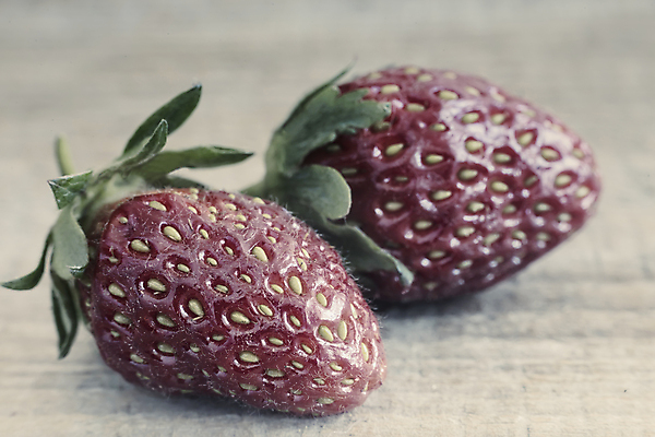 포토 JPG 해외이미지 식물 계절 열매 음식 백그라운드 잎 2 농업 다이어트 과일 재료 자연 탁자 딸기 디저트 건강 사람없음 목재 가로 빨간색 초록색 귀여움 신선 시장 달콤 아침식사 유기농 날것 내추럴 점심식사 숙성 채식주의자 해외포토 나무 웰빙 산업 컬러 가구 컨셉 식사 맛 생태계 채식 파일형식 이미지허브