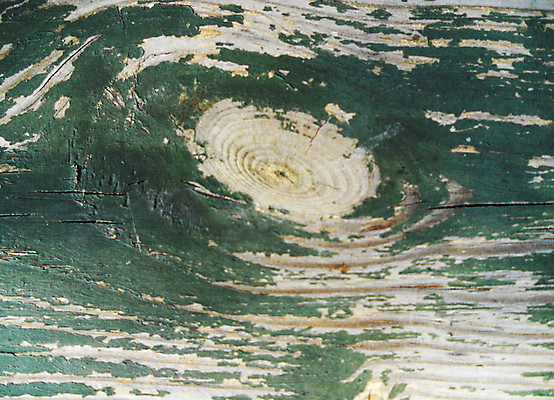 포토 JPG 해외이미지 나무 디자인 백그라운드 패턴 벽지 탁자 표면 바닥 사람없음 내부 목재 장식 갈색 노란색 유행 어둠 줄무늬 수확 소나무 판넬 거친 닫기 널 묘사 고민 질감 복고 먼지 잡동사니 내추럴 골절 그런지 수목 옛날 디테일 해외포토 식물 감정 컬러 가구 무늬 농업 재료 의학 모션 파일형식 이미지허브