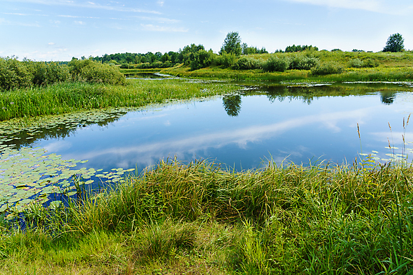 포토 JPG 해외이미지 나무 여행 밭 자연 하늘 파노라마 갈대 풍경 사람없음 야외 초록색 물 여름 파란색 강 반사 흐름 시골 숲 강가 포트 내추럴 드론 생태학 해외포토 자연요소 식물 계절 교육 컬러 컨셉 농업 촬영기법 생태계 파일형식 이미지허브