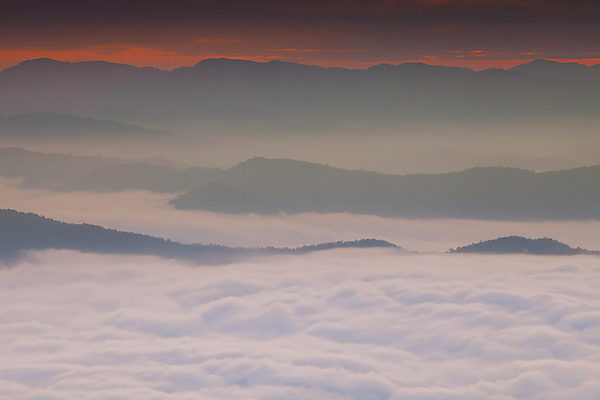 포토 JPG 해외이미지 식물 구름 계절 공원 여행 백그라운드 자연 하늘 성공 날씨 불꽃 산 풍경 사람없음 야외 초록색 여름 햇빛 태양 노란색 환경 일몰 봄 트래킹 하이킹 에너지 뜨거움 분위기 닫기 숲 언덕 장면 천국 내추럴 골 절정 해외포토 자연요소 공공시설 컬러 컨셉 모션 불 레저 노을 생태계 파일형식 이미지허브