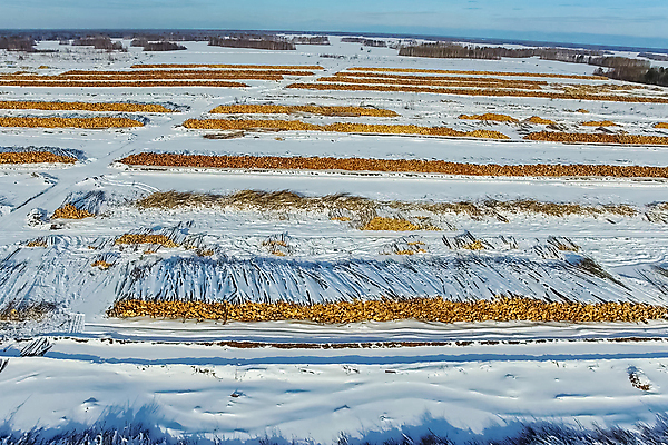 포토 JPG 해외이미지 나무 산업 도로 겨울 자연 사람없음 야외 목재 갈색 세일 쌓기 환경 중국 재활용 수확 상품 숲 자르기 목수 준비 유기농 날것 러시아 통나무 나무껍질 연료 수납 자원 잡동사니 방앗간 개발 벌목 부정부패 생태학 수목 시베리아 해외포토 식물 직업 웰빙 계절 교육 유럽 아시아 길 컬러 농업 재료 교통시설 모션 껍질 친환경 생태계 파일형식 이미지허브