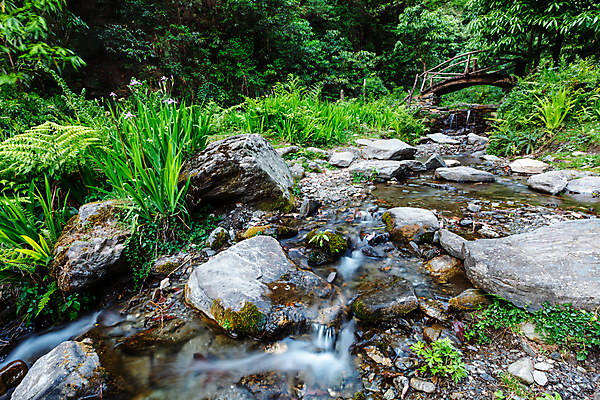 포토 JPG 해외이미지 잎 사람없음 야외 초록색 물 폭포 바위 신선 개울 작음 순수 암초 해외포토 자연요소 식물 컬러 컨셉 자연 강 크기 파일형식 이미지허브