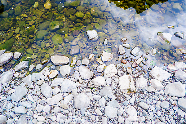 포토 JPG 해외이미지 나무 백그라운드 패턴 자연 추상 영국 풍경 사람없음 야외 물 강 강가 질감 해외포토 자연요소 식물 유럽 무늬 생태계 파일형식 이미지허브
