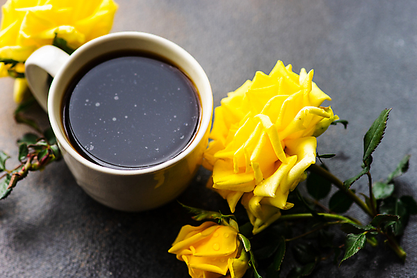 포토 JPG 해외이미지 커피 잎 회색배경 사람없음 장미 머그컵 꽃가지 해외포토 식물 꽃 음료 백그라운드 컵 회색 나뭇가지 파일형식 이미지허브