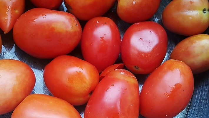 포토 JPG 해외이미지 음식 백그라운드 패턴 농업 토마토 재료 자연 건강 사람없음 활발 샐러드 신선 그룹 시장 먹기 유기농 질감 채식주의자 해외포토 웰빙 산업 컨셉 무늬 채소 모션 생태계 채식 파일형식 이미지허브