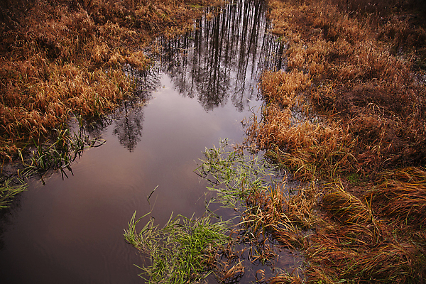 포토 JPG 해외이미지 나무 구름 계절 공원 호수 겨울 자연 하늘 풍경 사람없음 야외 초록색 물 파란색 강 반사 노란색 폭포 가을 연못 개울 숲 슬로프 해외포토 자연요소 식물 공공시설 컬러 스키장 생태계 파일형식 이미지허브
