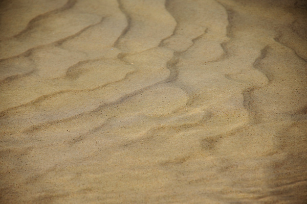 포토 JPG 해외이미지 디자인 모래 파도 바다 여행 백그라운드 컨셉 패턴 자연 표면 추상 휴가 사람없음 야외 여름 빛 모래사장 갈색 사막 황금 모래언덕 질감 웨이브 슛 장면 내추럴 해외포토 계절 컬러 무늬 언덕 생태계 파일형식 이미지허브