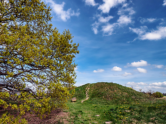 포토 JPG 해외이미지 나무 백그라운드 밭 자연 하늘 안테나 덴마크 서기 풍경 사람없음 초록색 여름 파란색 바위 흰색 시골 무덤 역사 묘사 언덕 청동 북쪽 고고학 옛날 장례식 해외포토 식물 계절 교육 컬러 농업 통신 모션 북유럽 돌_바위 방향 생태계 파일형식 이미지허브