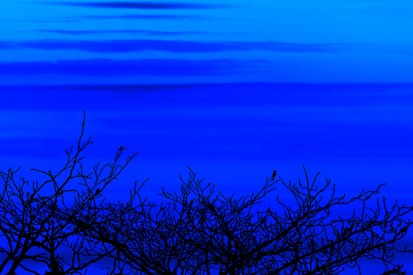 포토 JPG 해외이미지 구름 실루엣 선 모래 파도 바다 섬 여행 백그라운드 오렌지 자연 벽지 조류 하늘 날씨 휴가 풍경 사람없음 야외 빨간색 물 여름 파란색 빛 컬러풀 햇빛 태양 반사 일출 일몰 봄 가을 흰색 황금 봉 넘어짐 수평선 해외포토 자연요소 동물 계절 컬러 과일 모션 촬영기법 노을 생태계 파일형식 이미지허브