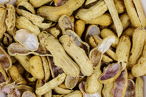 포토 JPG 해외이미지 식물 음식 백그라운드 다이어트 과일 자연 건조 건강 씨앗 사람없음 갈색 노란색 쌓기 견과류 껍질 그룹 맛 오브젝트 날것 땅콩 흙더미 내추럴 식용 채식주의자 해외포토 컬러 컨셉 모션 흙 생태계 채식 파일형식 더미 이미지허브