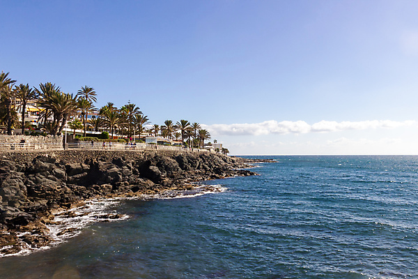 포토 JPG 해외이미지 나무 유럽 모래 바다 섬 여행 아프리카 자연 하늘 휴가 휴식 손바닥 풍경 해변 사람없음 야외 물 여름 파란색 태양 스페인 대서양 카피스페이스 해외포토 자연요소 식물 손 계절 나라 컬러 컨셉 공백 생태계 파일형식 이미지허브