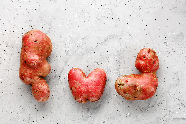 포토 JPG 해외이미지 음식 백그라운드 컨셉 농업 다이어트 채소 감자 건강 그림자 요리 사람없음 당근 회색 하트 신선 시장 편지 다발 섬유 성분 국산 식용 유전자변형 콘크리트 카피스페이스 못생김 세련 해외포토 모양 산업 컬러 뿌리채소 공백 직물 파일형식 이미지허브