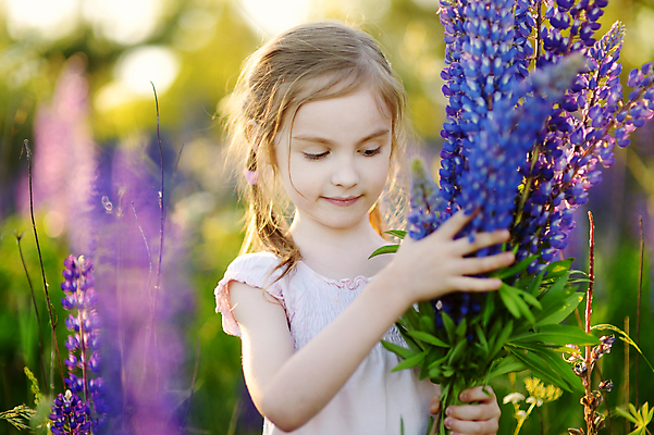 포토 JPG 해외이미지 라이프스타일 공원 꽃 행복 어린이 분홍색 백그라운드 밭 포옹 자연 놀이 관리 한명 웃음 야외 초록색 여름 파란색 정원 보라색 봄 기쁨 벚꽃 잡기 개화 선택 수집 원예 제비 파스텔톤 혼자 해외포토 식물 1 계절 공공시설 감정 컬러 컨셉 농업 안기 모션 조류 표정 사람 취미 생활 생태계 파일형식 이미지허브