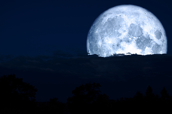 포토 JPG 해외이미지 나무 식물 구름 실루엣 백그라운드 자연 하늘 산 어류 사람없음 가로 빨간색 빛 강 우주 계란 어둠 침묵 황혼 새벽 껍질 달 혈액 벌레 야간 저녁 기아 가득함 까마귀 늑대 해외포토 자연요소 컬러 곤충 포유류 조류 촬영기법 알 수중동물 소리 일몰 사회이슈 생태계 파일형식 이미지허브