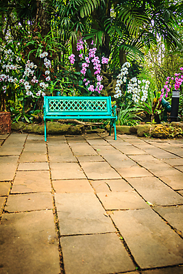 포토 JPG 해외이미지 나무 라이프스타일 디자인 공원 꽃 분홍색 백그라운드 컨셉 잎 벤치 의자 자연 휴식 아이디어 풍경 사람없음 장식 초록색 평화 정원 보라색 침묵 벚꽃 바위 시골 램프 신선 개화 난초 고급 숲 배열 제비꽃 휴양지 심플 이국적 해외포토 식물 공공시설 컬러 가구 조명 생활 소리 장소 돌_바위 생태계 파일형식 이미지허브