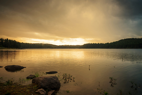 포토 JPG 해외이미지 나무 호수 여행 자연 아침 휴가 휴식 산 풍경 사람없음 야외 초록색 물 여름 빛 햇빛 태양 반사 우주 일출 침묵 황혼 일몰 봄 새벽 연못 신선 고독 매끈함 숲 댐 장면 불가리아 해외포토 주간 자연요소 식물 계절 공공시설 감정 컬러 컨셉 노을 소리 감각 생태계 파일형식 남유럽 이미지허브
