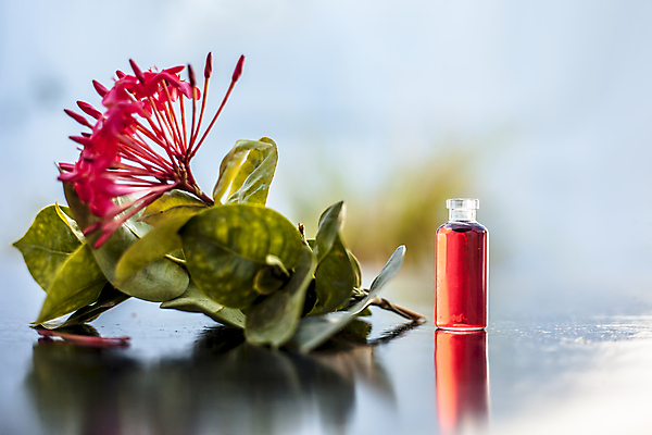 포토 JPG 해외이미지 웰빙 꽃 백그라운드 유리 휴식 건강 사람없음 치료 약 스파 봄 마사지 약초 그래피티 인도인 허브 집중 향수 꿀 아로마테라피 테라피 돌봄 서쪽 에센스 추출 투입 해외포토 외국인 식물 계절 컨셉 의학 모션 재질 동양인 뷰티 화장품 풀_식물 낙서 방향 그림 파일형식 이미지허브