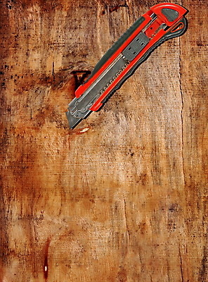 포토 JPG 해외이미지 직업 산업 백그라운드 오렌지 가정 탁자 노동자 안전 사람없음 목재 노란색 금속 힘 흰색 공구 업무 칼날 칼 닫기 무역 날카로움 판매원 넘어짐 다듬기 옛날 중고 해외포토 나무 컬러 가구 과일 재료 모션 재질 도구 작업 파일형식 이미지허브