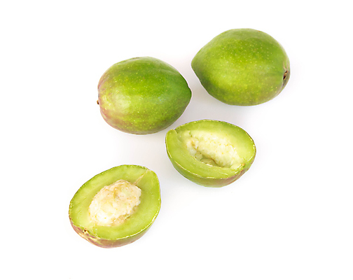 포토 JPG 해외이미지 식물 음식 조각 과일 태국 건강 씨앗 사람없음 목재 치료 초록색 약 스파 신선 조미료 약초 인도인 허브 피부 향신료 유기농 아로마 향 아로마테라피 내추럴 고립 돌봄 해외포토 외국인 나무 웰빙 아시아 컬러 재료 의학 모션 동양인 신체부위 풀_식물 테라피 향미료 파일형식 이미지허브