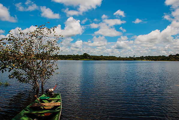 포토 JPG 해외이미지 나무 식물 커플 계절 공원 호수 스포츠 여행 백그라운드 잎 자연 하늘 휴가 주택 사람 사람없음 목재 초록색 물 여름 강 반사 미국 봄 보트 원주민 숲 오두막 가난 열대우림 홍수 심플 브라질 남쪽 동물상 아마존 페루 해외포토 자연요소 공공시설 컬러 컨셉 북아메리카 배_교통 재료 관계 건물 조형물 남아메리카 아프리카인 자연재해 방향 생태계 파일형식 이미지허브