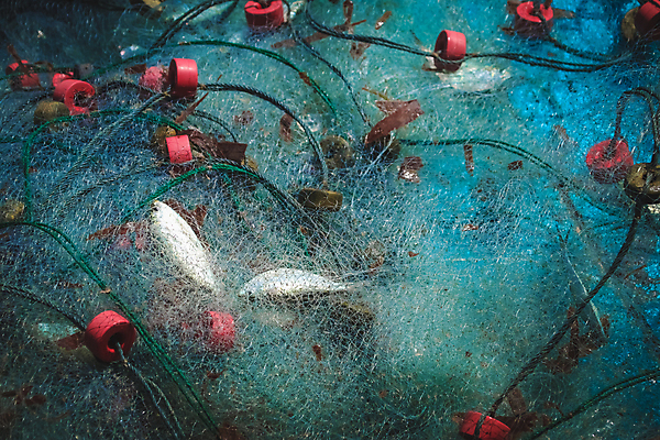 포토 JPG 해외이미지 직업 전통 문화 밧줄 바다 여행 백그라운드 패턴 오렌지 태국 낚시 어류 사람없음 빨간색 물 파란색 쌓기 항구 장비 공구 업무 그물 보트 뜨개질 해산물 묘사 부식 질감 낚시꾼 사냥꾼 망사 부표 옛날 많음 해외포토 자연요소 아시아 줄 컬러 컨셉 무늬 배_교통 과일 교통시설 모션 레저 취미 수중동물 도구 직물 작업 파일형식 이미지허브