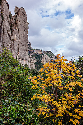 포토 JPG 해외이미지 유럽 종교 문화 여행 건축양식 자연 하늘 산 사람 풍경 사람없음 건물 초록색 산타클로스 교회 스페인 마리아 수도원 바르셀로나 수녀원 해외포토 건축물 건축 나라 컬러 크리스마스 종교건축 생태계 파일형식 이미지허브