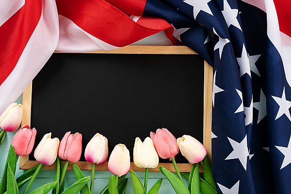 포토 JPG 해외이미지 기념일 별 백그라운드 벽지 휴가 기념 사람없음 빨간색 파란색 우주 칠판 미국 줄무늬 튤립 자유 흰색 축하 깃발 직물 4 호주 선거 민주주의 심볼 사인 질감 군용 기념물 애국심 7월 대통령 독립 전국 해외포토 자연요소 꽃 컬러 컨셉 북아메리카 무늬 군대 이벤트 숫자 날짜 오세아니아 파일형식 이미지허브