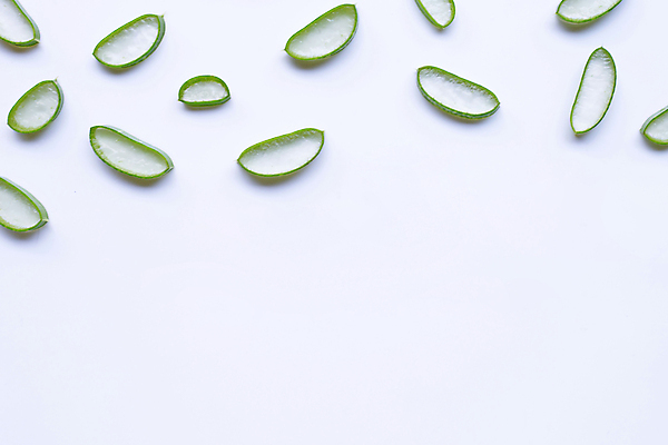 포토 JPG 해외이미지 스튜디오촬영 단면 실내 사람없음 흰배경 알로에 해외포토 식물 백그라운드 내부 흰색 파일형식 이미지허브