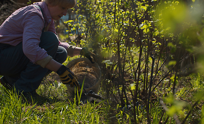 포토 JPG 해외이미지 백인 라이프스타일 계절 여자 중년 농업 자연 노동자 건강 한명 잔디 성인 야외 초록색 농장 정원 봄 시골 잡기 작업 붓기 농부 심플 건포도 땅바닥 밭일 원예사 재 해외포토 서양인 식물 직업 1 산업 컬러 모션 포도 바닥 사람 생활 생태계 건과일 파일형식 이미지허브