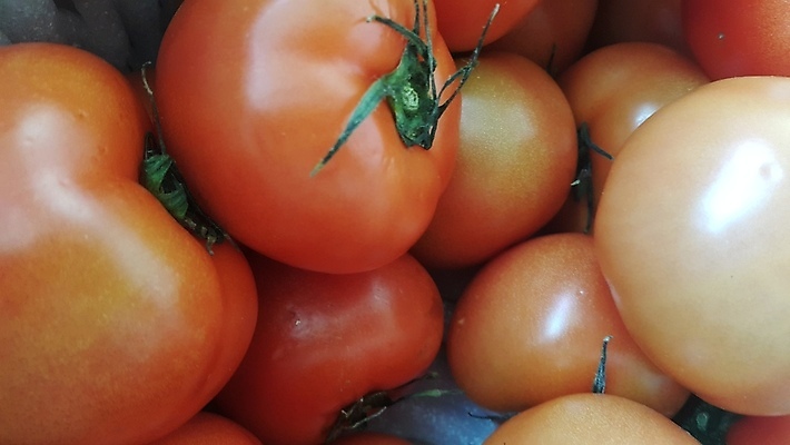 포토 JPG 해외이미지 음식 백그라운드 패턴 농업 토마토 재료 자연 건강 사람없음 활발 샐러드 신선 그룹 시장 먹기 유기농 질감 채식주의자 해외포토 웰빙 산업 컨셉 무늬 채소 모션 생태계 채식 파일형식 이미지허브