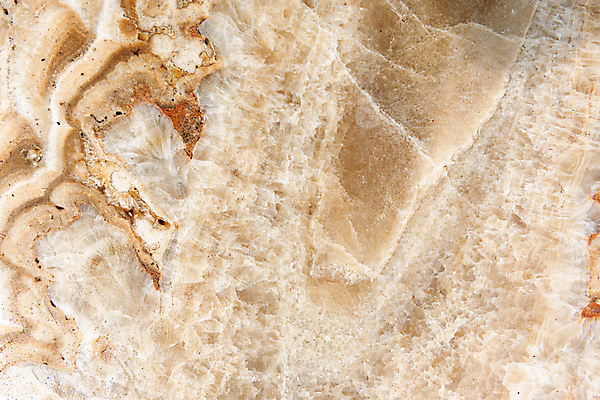 포토 JPG 해외이미지 디자인 외관 종이 벽 백그라운드 패턴 건축양식 자연 벽지 표면 추상 바닥 주택 실내 미술 사람없음 내부 그래픽 장식 주방 공백 회색 수확 골동품 흰색 고급 우아함 매끈함 계산대 타일 묘사 질감 캔버스 대리석 내추럴 고체 옛날 지질학 화강암 효과 해외포토 교육 건축 컬러 컨셉 무늬 농업 재료 문화예술 건물 암석 감각 생태계 파일형식 이미지허브