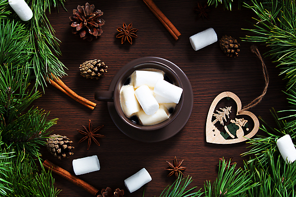 포토 JPG 해외이미지 나무 계절 커피 음료 음식 백그라운드 크리스마스 겨울 탁자 휴가 디저트 새로움 기념 프레임 선물 사람없음 목재 장식 컵 빨간색 초록색 갈색 축제 머그컵 흰색 나뭇가지 시골 축하 소나무 뜨거움 신용카드 달콤 연도 전나무 원뿔 마시멜로우 시나몬 옛날 핸드메이드 가문비나무 카피스페이스 해외포토 도형 식물 식기 기념일 컬러 가구 컨셉 재료 금융 공백 맛 파일형식 이미지허브