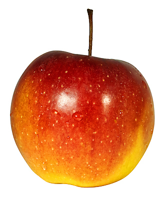 포토 JPG 해외이미지 모양 식물 1 라이프스타일 길 음식 백그라운드 농업 다이어트 과일 자연 디저트 건강 사람없음 빨간색 초록색 빛 컬러풀 주스 흰색 신선 달콤 맛 사과 자르기 먹기 순수 오브젝트 싱글 상쾌 유기농 날것 내추럴 고립 생태학 숙성 완벽 채식주의자 해외포토 웰빙 교육 감정 산업 음료 컬러 컨셉 모션 생활 생태계 채식 파일형식 이미지허브