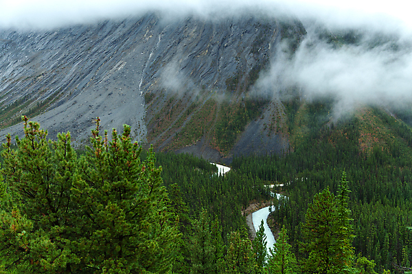 포토 JPG 해외이미지 나무 공원 여행 캐나다 산 국립공원 풍경 사람없음 야외 물 여름 강 골짜기 계곡 폭포 개울 황무지 밴프 앨버타 전국 로키산맥 해외포토 자연요소 식물 계절 공공시설 북아메리카 자연 파일형식 이미지허브