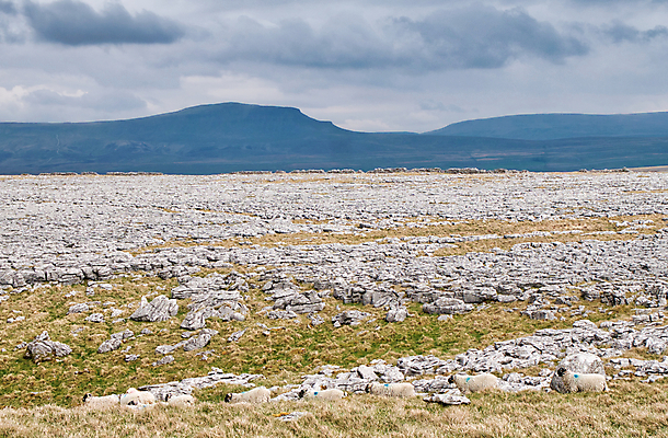 포토 JPG 해외이미지 여행 자연 병원 풍경 사람없음 야외 물 여름 파란색 빛 바위 보행로 요크셔테리어 언덕 부식 내추럴 석회암 해외포토 자연요소 계절 길 컬러 의학 암석 돌_바위 테리어 생태계 파일형식 이미지허브