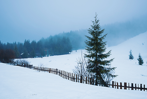 포토 JPG 해외이미지 나무 계절 유럽 여행 겨울 자연 날씨 휴가 산 파노라마 풍경 사람없음 환경 계곡 냉동 얼음 하이킹 추위 안개 흰색 시골 숲 큼 서리 북쪽 전나무 산악지대 교외 제설기 폭설 눈내림 해외포토 자연요소 식물 나라 컬러 레저 눈_날씨 촬영기법 크기 자연재해 방향 생태계 제설 파일형식 이미지허브
