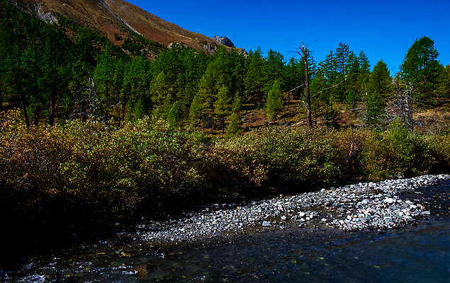 포토 JPG 해외이미지 공원 호수 여행 자연 아침 산 풍경 사람없음 야외 초록색 물 여름 파란색 반사 일출 계곡 맑음 침묵 연못 숲 내추럴 전국 절정 해외포토 주간 자연요소 계절 공공시설 컬러 날씨 노을 소리 생태계 파일형식 이미지허브
