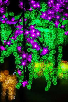 포토 JPG 해외이미지 나무 계절 여행 백그라운드 잎 크리스마스 자연 하늘 추상 휴가 조명 풍경 사람없음 야외 목재 가로 초록색 여름 빛 환경 침묵 놀람 봄 숲 신비 땅 즐거움 보케 공상 마법 블러 웅장함 환상 카피스페이스 해외포토 식물 기념일 감정 컬러 컨셉 무늬 재료 표정 소리 공백 생태계 파일형식 이미지허브