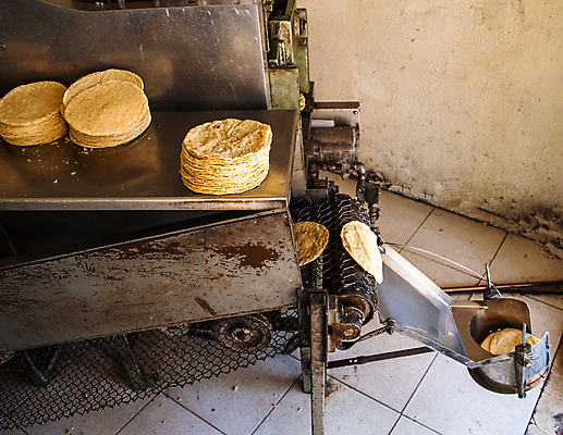 포토 JPG 해외이미지 전통 종이 문화 음식 채소 재료 자연 멕시코 건조 건강 옥수수 씨앗 사람없음 농작물 노란색 식사 저녁식사 흰색 신선 뜨거움 원형 황금 플러그 맛 전기에너지 상품 낟알 시리얼 유기농 질감 알맹이 반죽 밀가루 타코 내추럴 방앗간 고립 영양분 해외포토 도형 식물 웰빙 컬러 컨셉 북아메리카 농업 곡류 에너지 가루 생태계 파일형식 이미지허브