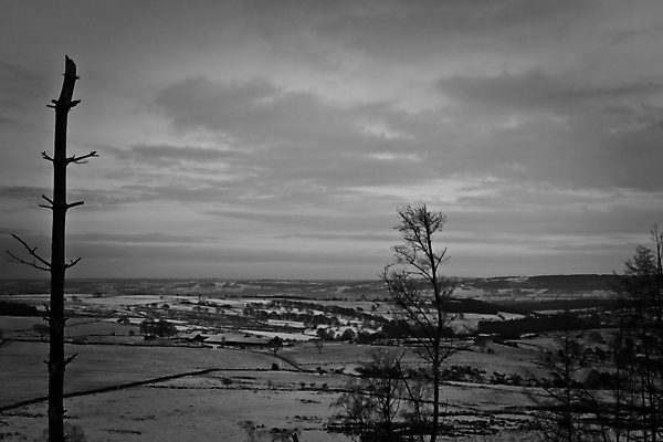 포토 JPG 해외이미지 나무 구름 공원 밭 자연 하늘 바람 휴가 영국 잉글랜드 이끼 사람 사람없음 여름 파란색 빛 컬러풀 태양 농장 걷기 믿음 황혼 일몰 하이킹 달 시골 야간 저녁 숲 요크셔테리어 달빛 영웅 삼림지대 석회암 옛날 전국 혼자 흥미 해외포토 자연요소 식물 계절 공공시설 감정 유럽 컬러 컨셉 농업 모션 레저 날씨 노을 암석 테리어 생태계 파일형식 이미지허브